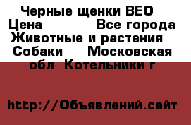 Черные щенки ВЕО › Цена ­ 5 000 - Все города Животные и растения » Собаки   . Московская обл.,Котельники г.